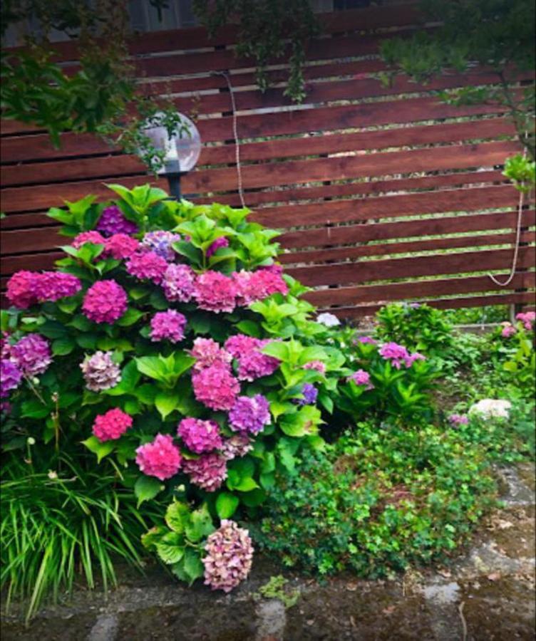 Il Giardino Segreto Διαμέρισμα Carbognano Εξωτερικό φωτογραφία