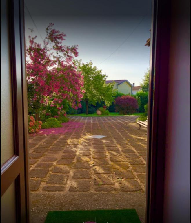 Il Giardino Segreto Διαμέρισμα Carbognano Εξωτερικό φωτογραφία